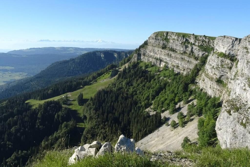 Studio « Le Petit Montagnard » Malbuisson Bagian luar foto